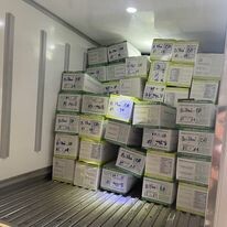 Tpfood Việt Nam 10