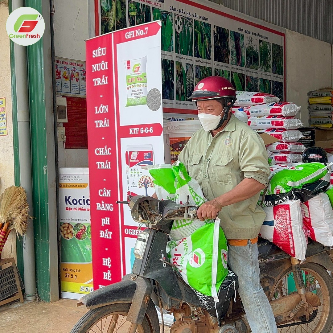 Xuất Nhập khẩu Xanh Tươi 11