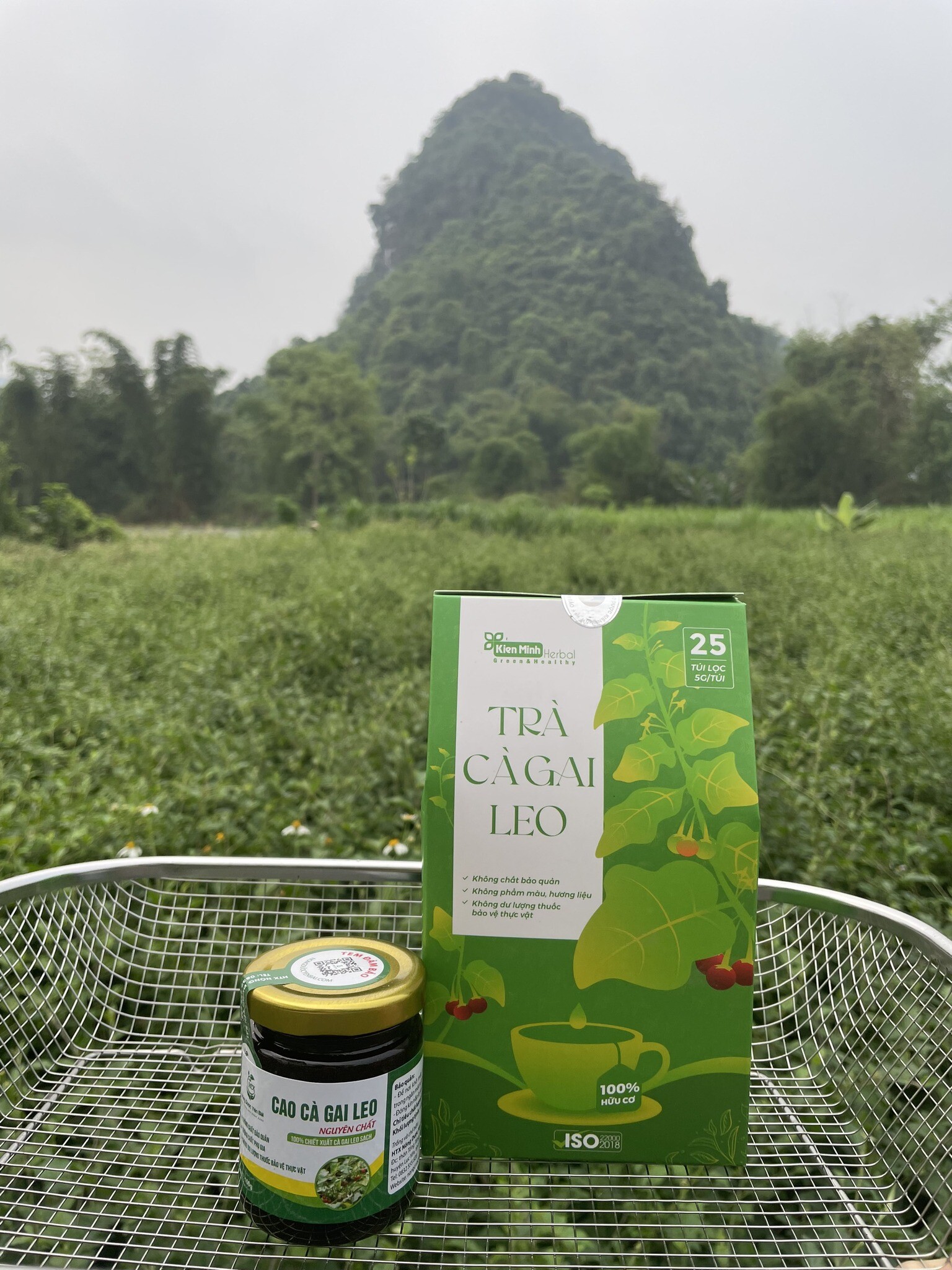 Thảo Dược Kiên Minh 1