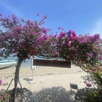 AZ Group One Travel 6