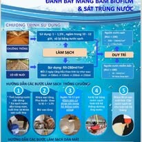 Thuốc Thú Y - Thủy Sản Thịnh Phú 2
