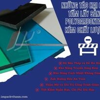 Impack Việt Nam 10