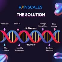 Rainscales 7
