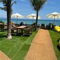 Sports Turf Solutions 2