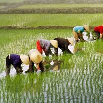 Đầu Tư Và Phát Triển Vinaf 11