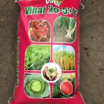 Đầu Tư Và Phát Triển Vinaf 12