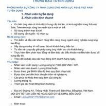 Giải pháp nhân lực PSAS Việt Nam 8