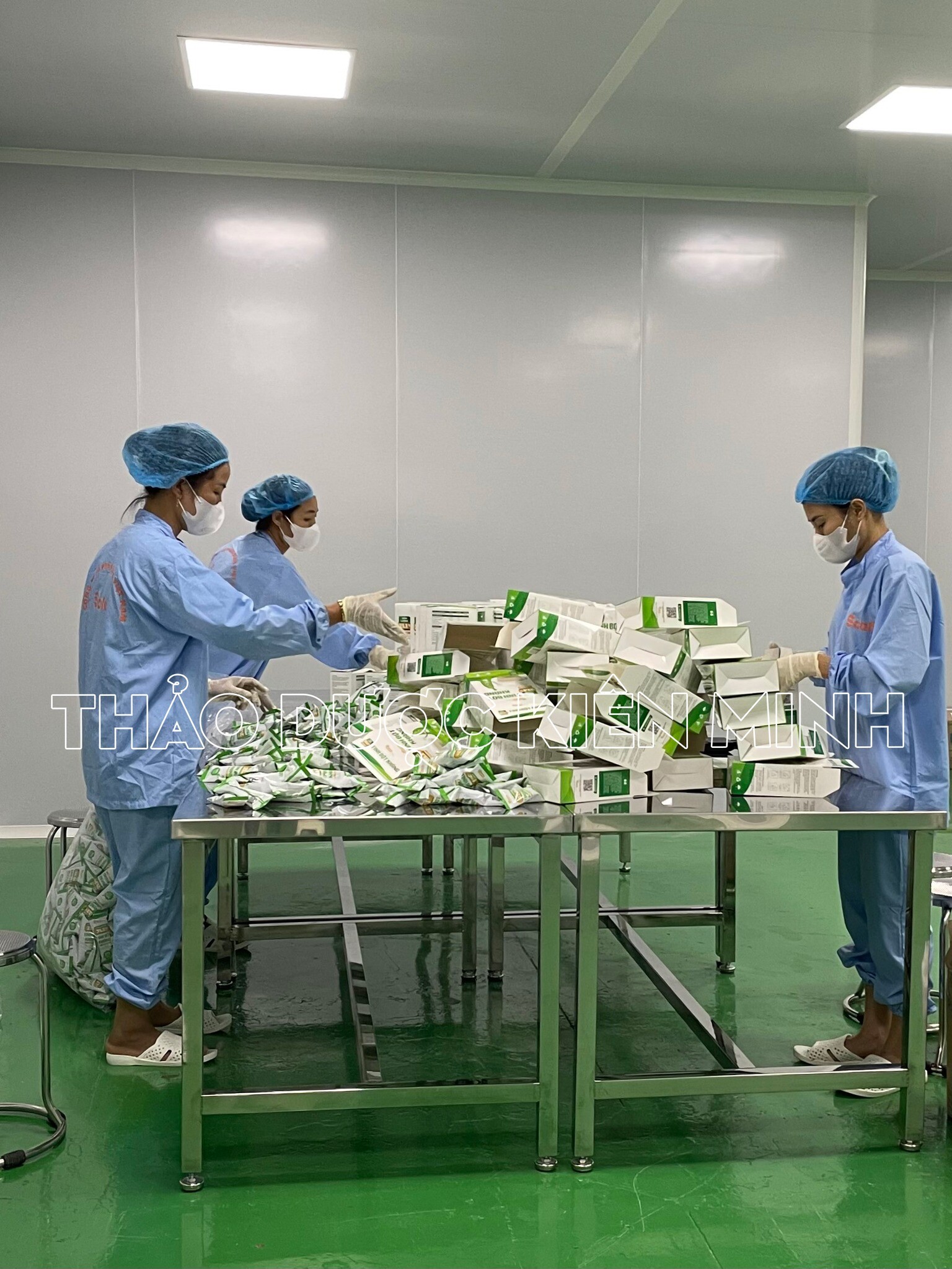 Thảo Dược Kiên Minh 7