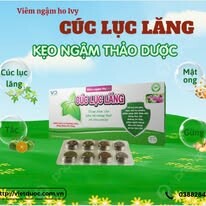DƯỢC PHẨM VIỆT DƯỢC 7