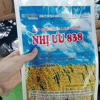 Bao bì Delipack 13