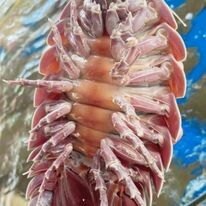 Nhà Hàng Lê Gia Seafood 6