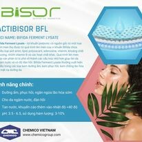 Chemico Việt Nam 1