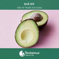 TENTAMUS VIỆT NAM LLC 10