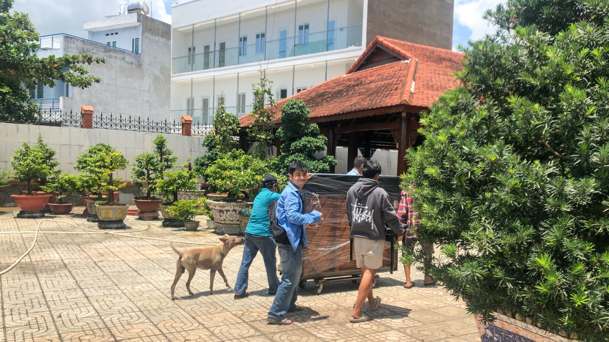 Minh Phụng Music 3