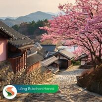 Truyền Thông Sông Sáng - SSMedia 6