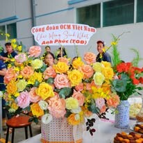 OCM Việt Nam 13