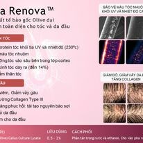 Chemico Việt Nam 2