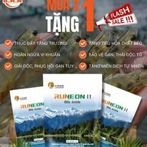 Công Ty TNHH BHN 11