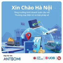 ANTSOMI VIỆT NAM 6