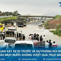 Green Leaf Việt Nam 4