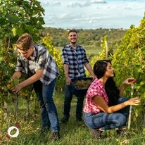 NHÀ HÀNG COCOTTE 1