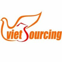 Tư vấn doanh nghiệp Nguồn Lực Việt - Vietsourcing 1