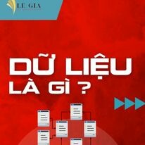 Tư Vấn Lê Gia 11
