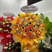 Công nghệ nền móng Thăng Long 7