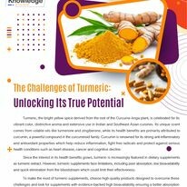 Chemico Việt Nam 3