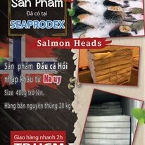 Tổng Công Ty Thủy Sản Việt Nam 6