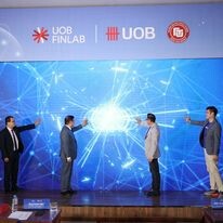 ANTSOMI VIỆT NAM 12