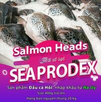 Tổng Công Ty Thủy Sản Việt Nam 5