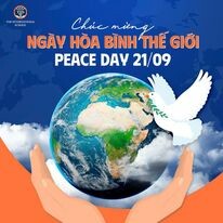 TRƯỜNG QUỐC TẾ TIS 14