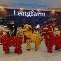 Kỹ thuật và Dịch vụ Đại An 12