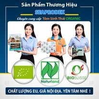 Tổng Công Ty Thủy Sản Việt Nam 4