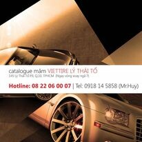 LỐP XE VIỆT - VIETTIRE 3