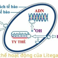 Thuốc Thú Y - Thủy Sản Thịnh Phú 11