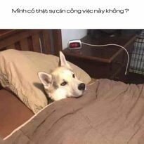 Tư Vấn Giải Pháp Doanh Nghiệp TPC 9