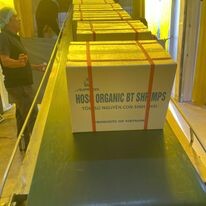 Tổng Công Ty Thủy Sản Việt Nam 9