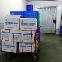 Tổng Công Ty Thủy Sản Việt Nam 10