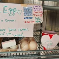 Missing Corner Inc. 10