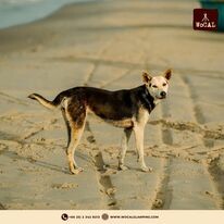 Khu nghỉ dưỡng WoCAL 10