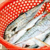 Khu nghỉ dưỡng WoCAL 7