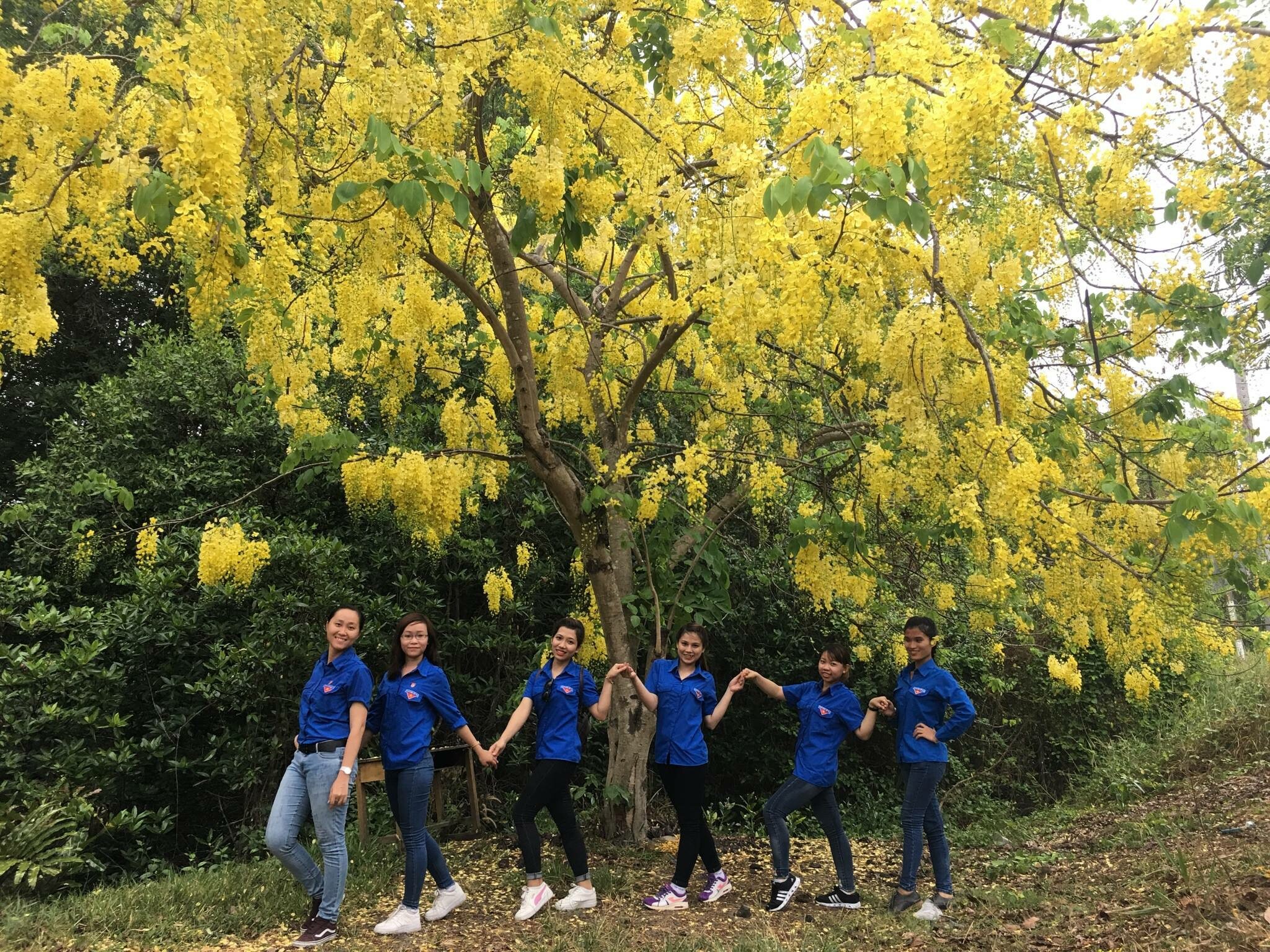 Thương Mại Dịch Vụ Quận 3 5