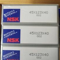 Nichiden Việt Nam 3