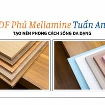 CÔNG TY CỔ PHẦN QUỐC TẾ TUẤN ANH 11
