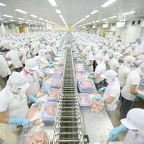 Giải pháp nhân lực PSAS Việt Nam 10