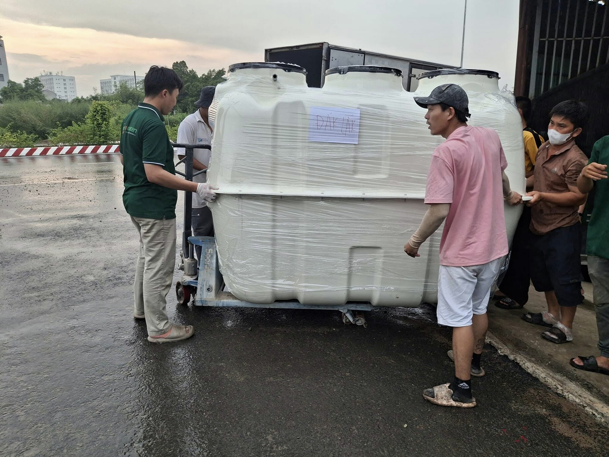 REGREEN VIỆT NAM 6