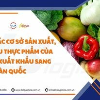 ITS VN - ITS Logistics 3