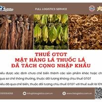 ITS VN - ITS Logistics 2